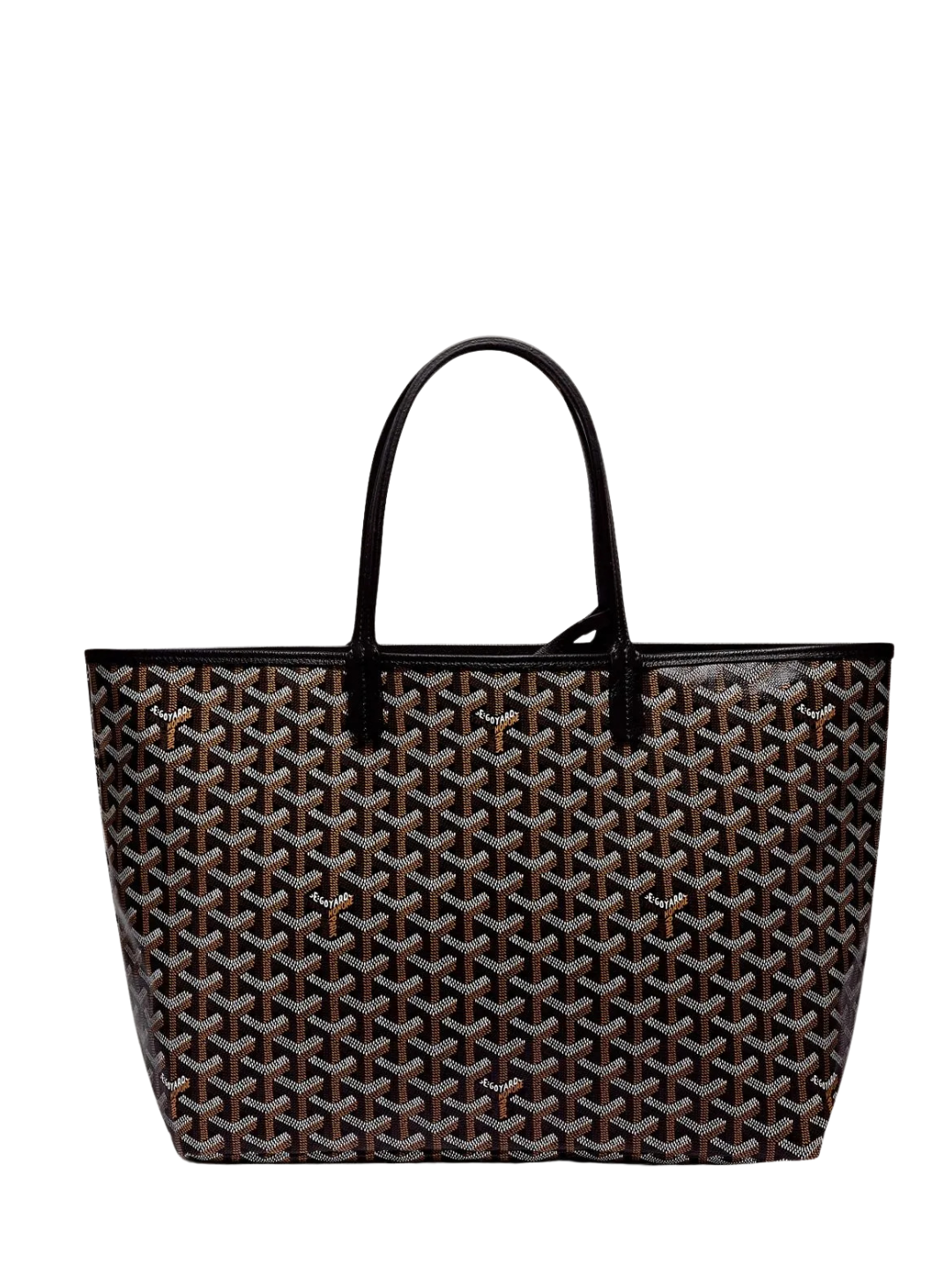 Goyard - Saint Louis PM Bag